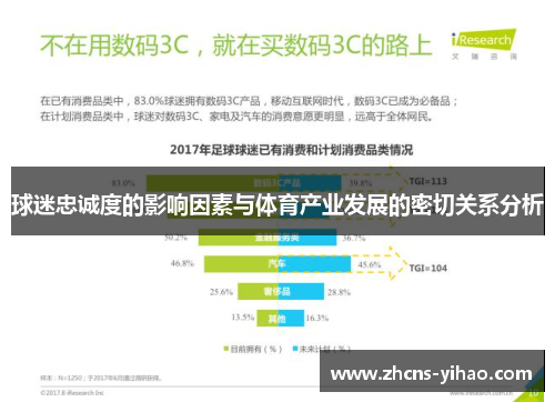 球迷忠诚度的影响因素与体育产业发展的密切关系分析