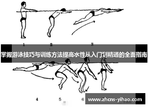 掌握游泳技巧与训练方法提高水性从入门到精通的全面指南