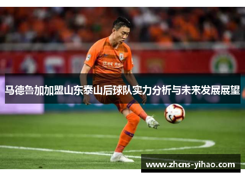 马德鲁加加盟山东泰山后球队实力分析与未来发展展望