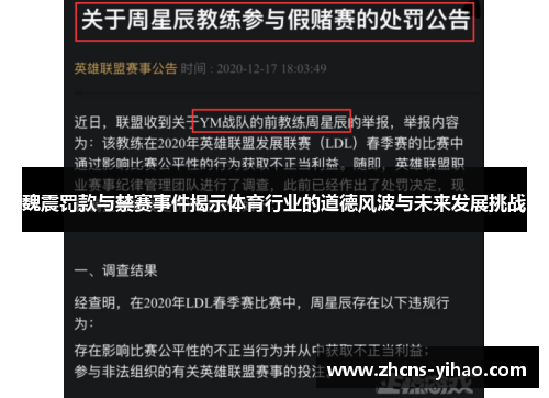 魏震罚款与禁赛事件揭示体育行业的道德风波与未来发展挑战