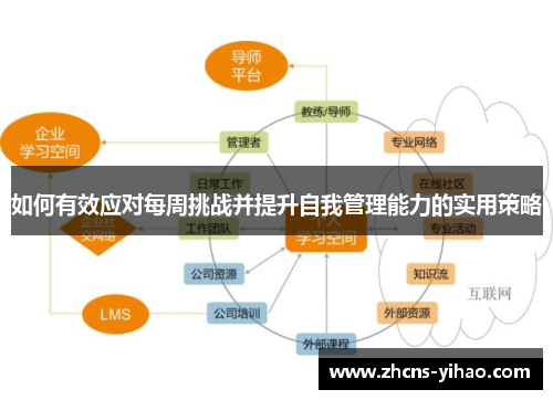如何有效应对每周挑战并提升自我管理能力的实用策略